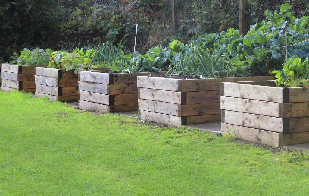 Why Raised Bed Gardening is Better Countryside